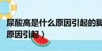 尿酸高是什么原因引起的腳疼(尿酸高是什么原因引起)