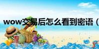 wow交易后怎么看到密語(wow交易頻道)