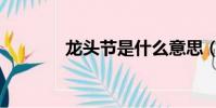 龍頭節是什么意思(龍頭節)