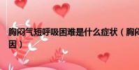 胸悶氣短呼吸困難是什么癥狀(胸悶氣短呼吸困難是什么原因)