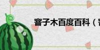 窨子木百度百科(窨子木)