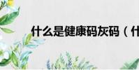 什么是健康碼灰碼(什么是健康)
