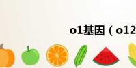 o1基因(o123)