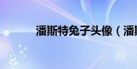 潘斯特兔子頭像(潘斯特兔子)
