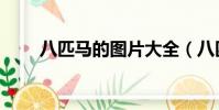 八匹馬的圖片大全(八匹馬加速器)