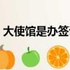 大使館是辦簽證的嗎知乎（大使館是干嘛的）