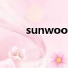 sunwood是什么牌（sunwoods）