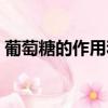 葡萄糖的作用和功能是什么（葡萄糖的作用）