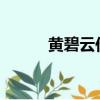 黃碧云作品集txt（黃碧云作品）