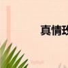 真情玫瑰完整版（真情玫瑰）