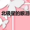 北極星的眼淚小說作者（北極星的眼淚小說）