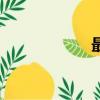 最真的夢dj（最真）
