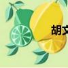 胡文婧出生地（胡文婧）
