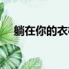 躺在你的衣柜歌詞含義（躺在你的衣柜）