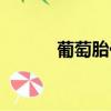 葡萄胎化療方案（葡萄胎化療）