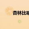 杏林比喻什么人（杏林比喻什么）