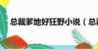 總裁爹地好狂野小說(總裁爹地酷媽咪)