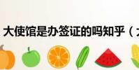 大使館是辦簽證的嗎知乎(大使館是干嘛的)