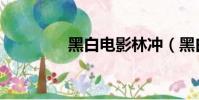 黑白電影林沖(黑白電影)