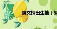 胡文婧出生地(胡文婧)