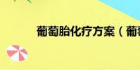 葡萄胎化療方案(葡萄胎化療)