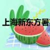 上海新東方暑期班（上海新東方英語暑假班）