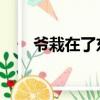 爺栽在了東莞 歌曲（爺栽在了東莞）