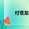 付蒼龍李龍鳳項楠楠（付蒼龍）
