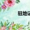 駐地記者站站長（駐地記者）