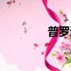 普羅透斯號角（普羅透斯）