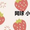 網球 小游戲（女子網球小游戲）