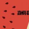 嘉蔭縣天氣預報（嘉蔭貼吧）