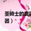 圣騎士的武器都有什么（dnf圣騎士用什么武器）