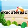 executereader什么意思（executereader）