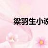 梁羽生小說挑燈看劍錄（挑燈看劍錄）