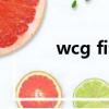 wcg fifa歷屆冠軍（wcg fifa）