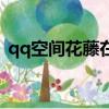 qq空間花藤在哪里打開（qq空間花藤代碼）