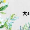 大s吸毒（大s康熙來了）