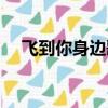 飛到你身邊歌詞含義（飛到你身邊歌詞）