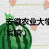 安徽農業大學附近的賓館（安徽農業大學附近賓館）