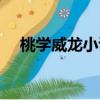 桃學威龍小說在線閱讀（桃學威龍小說）