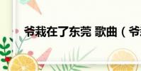 爺栽在了東莞 歌曲(爺栽在了東莞)
