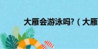 大雁會游泳嗎?(大雁會游泳嗎)