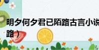 明夕何夕君已陌路古言小說(明夕何夕君已陌路)