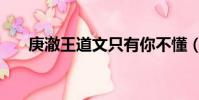 庚澈王道文只有你不懂(庚澈王道文)