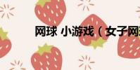 網球 小游戲(女子網球小游戲)