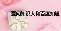 愛問知識人和百度知道(愛問知識)