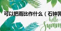 可以把雨比作什么(石鐘乳可以比作什么)