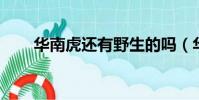 華南虎還有野生的嗎(華南虎 牛漢)