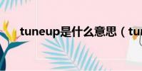 tuneup是什么意思(tuneup是什么)